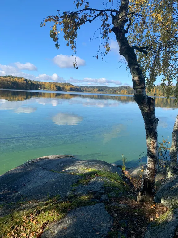 Домик в живописном месте на берегу Ладожского озера