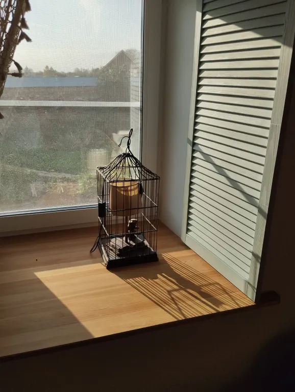 Уютная квартира в Васильевском монастыре