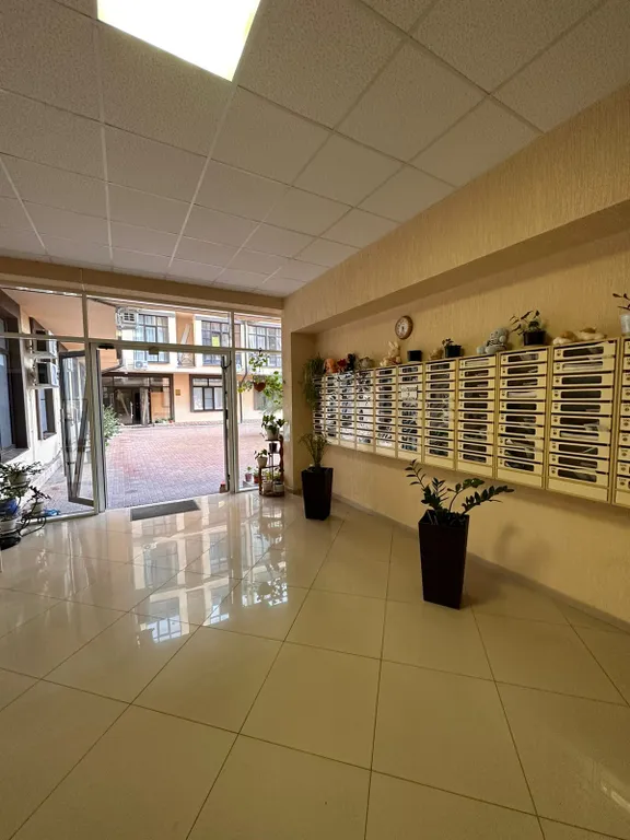 Квартира 1-комнатная Квартира — Сириус