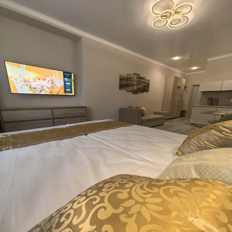 Квартира студия 2 в центре