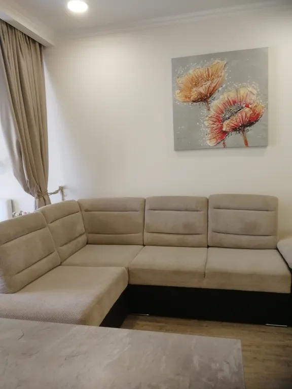 Квартира 1-комнатная Квартира — Светлогорск