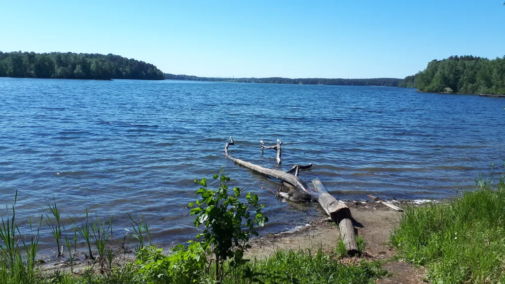Оз. Еловое санаторий сосновая горка Уютная Квартира