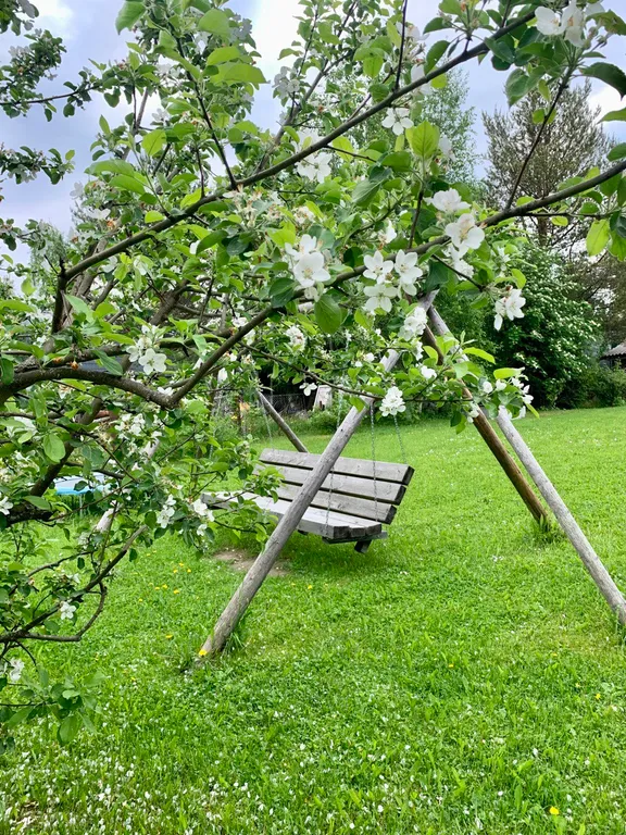 Уютный семейный домик в тихом месте