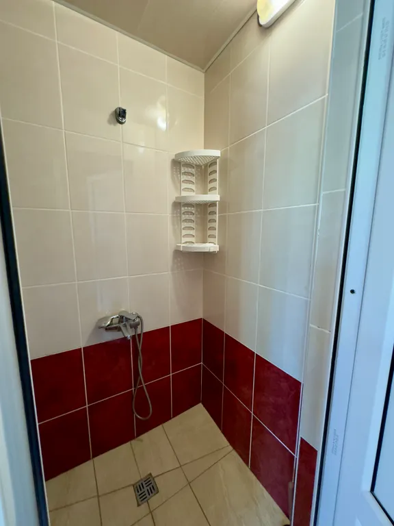 Домик у моря, в единственном лиановом лесу в России