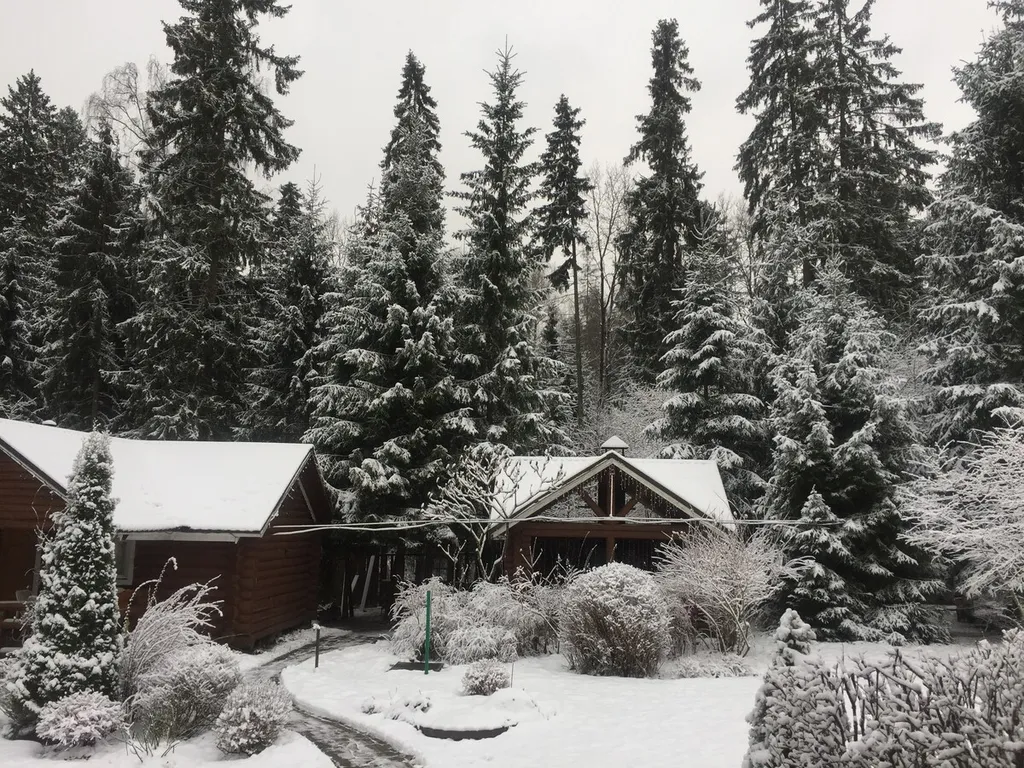 Коттедж Домик у леса с баней на дровах — Алексино