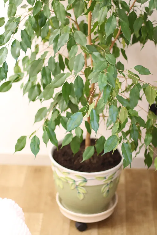 Квартира Deluxe рядом с ГУОР NiceAparts