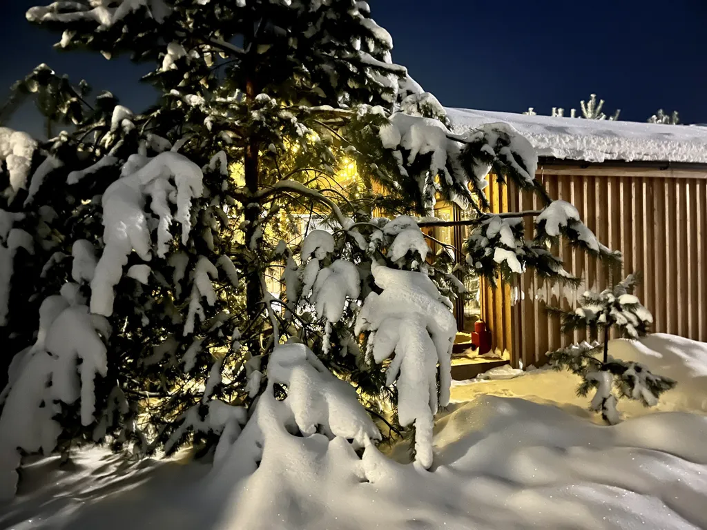 Коттедж 42 метра в лесу у пруда — аренда посуточно в Звенигород