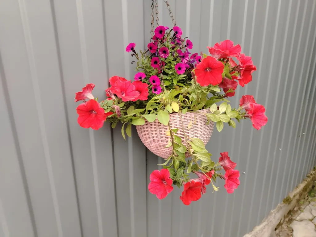 Коттедж Коттедж Уютная квартира в курортной зоне — Кисловодск