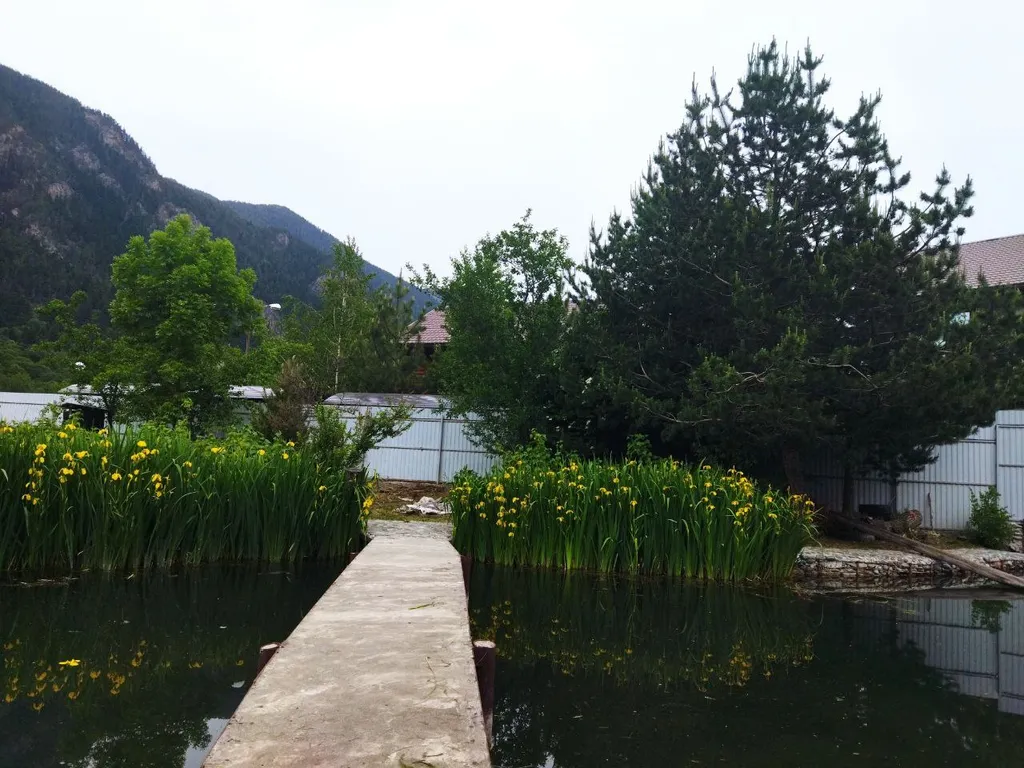 Коттедж Дом с баней и озером — Теберда