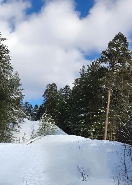 Коттедж Скандинавский дом, Ладога и маяк Vuohensalo в шаговой доступности — Приозерск