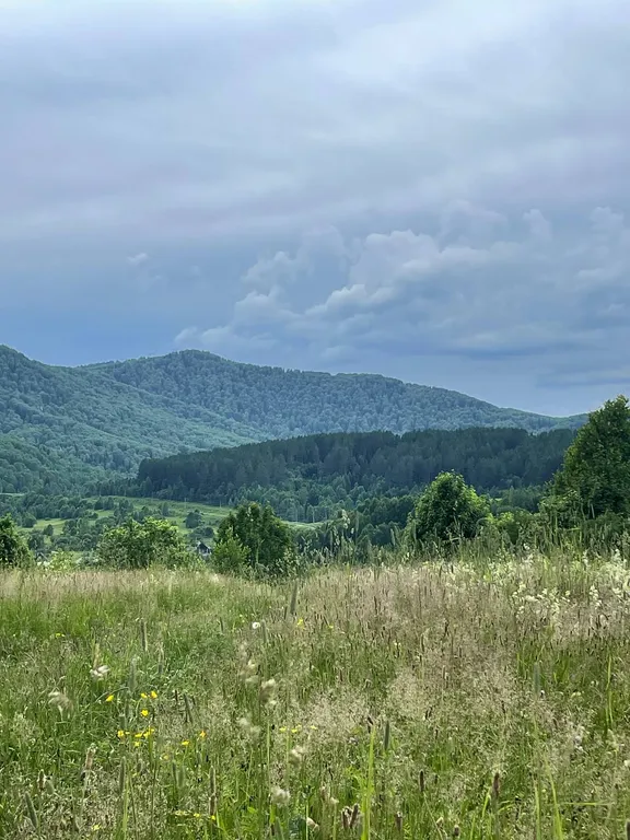 Уютный домик в лесу