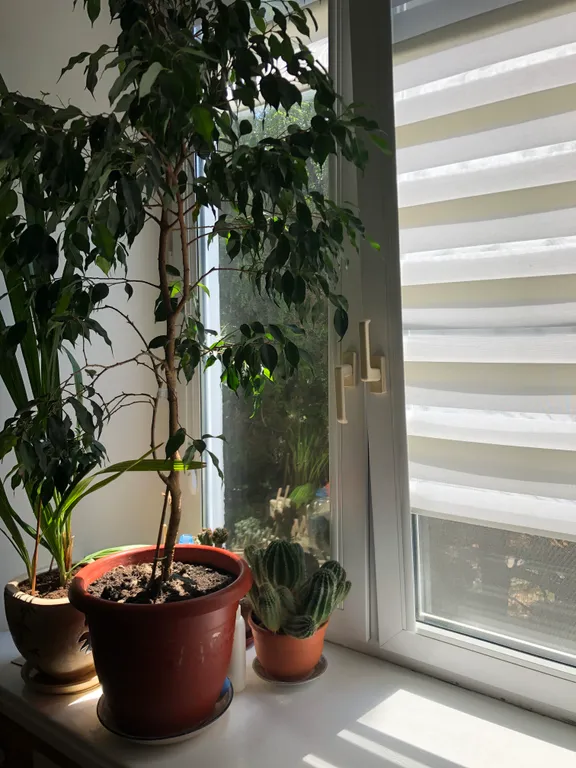 Квартира у моря