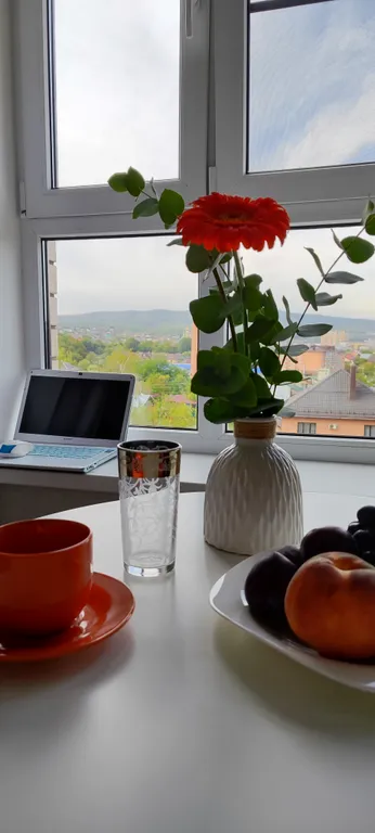 Квартира Уютная квартира с великолепным видом на горы — Горячий Ключ