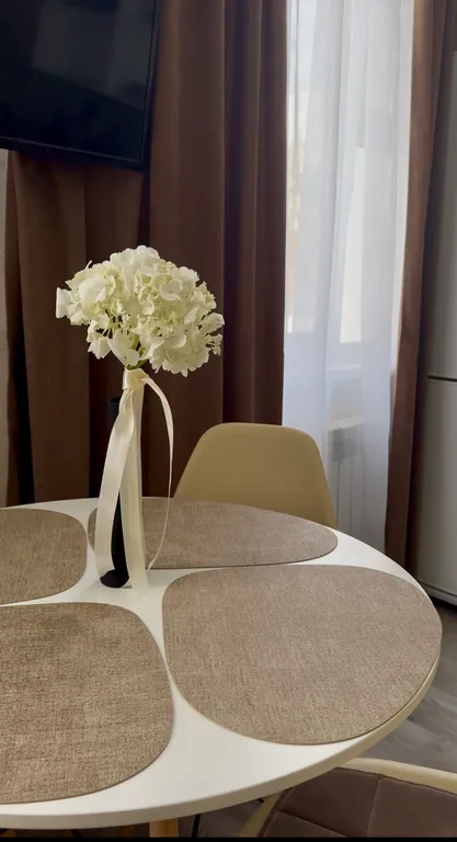 Студия Близнецы