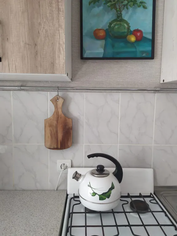 Крупногабаритная квартира в центре рядом с ТЦ Идея