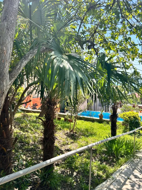 Коттедж 1-комнатный Дом — Сочи