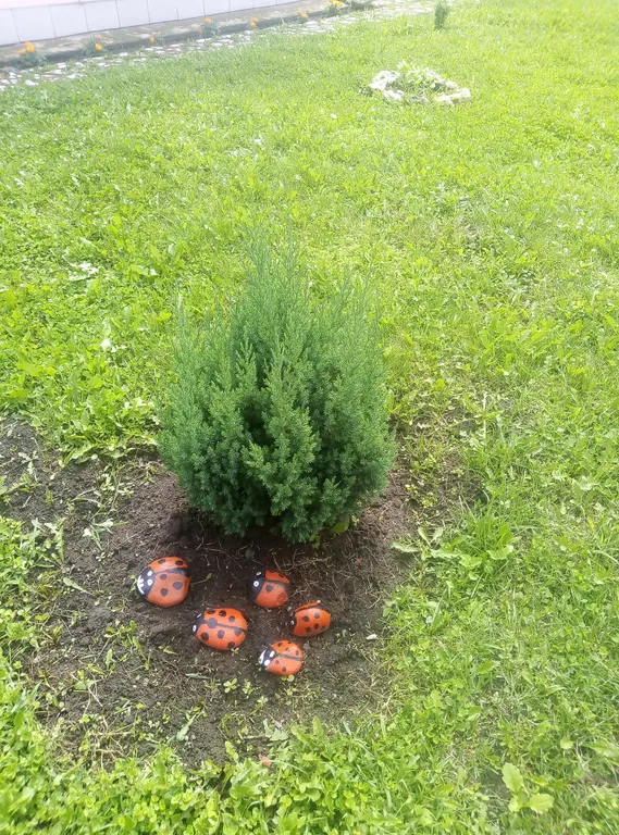 Уютный гостевой дом Оштен