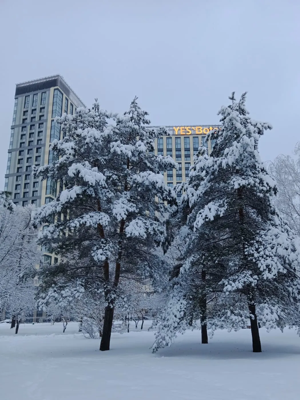 Зимний вид