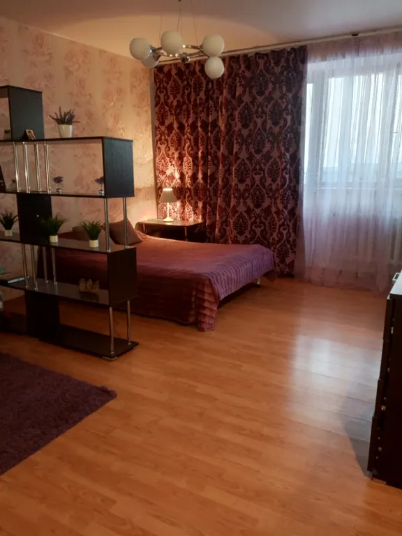 Студия в центре города, просторная с отдельной кухней и уютным балконом