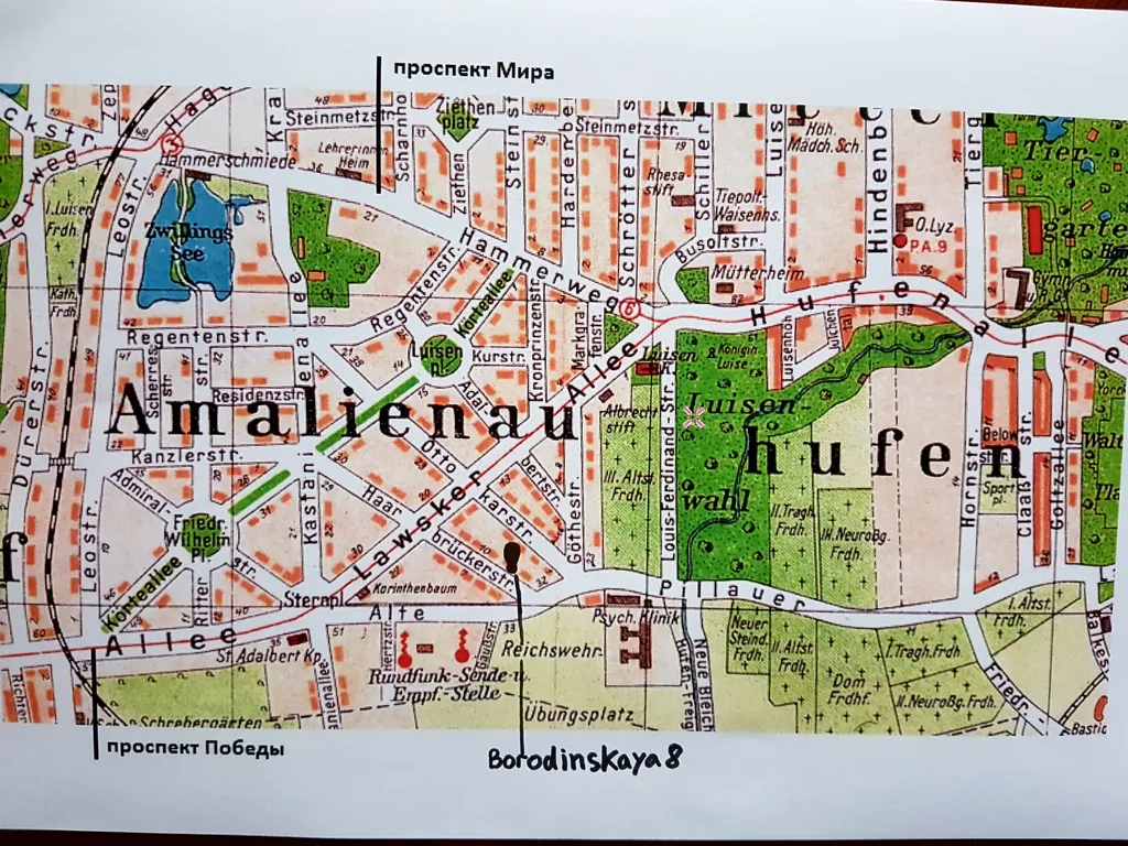 Двухуровневая 5-комнатная квартира в центре Амалиенау с зоной барбекю