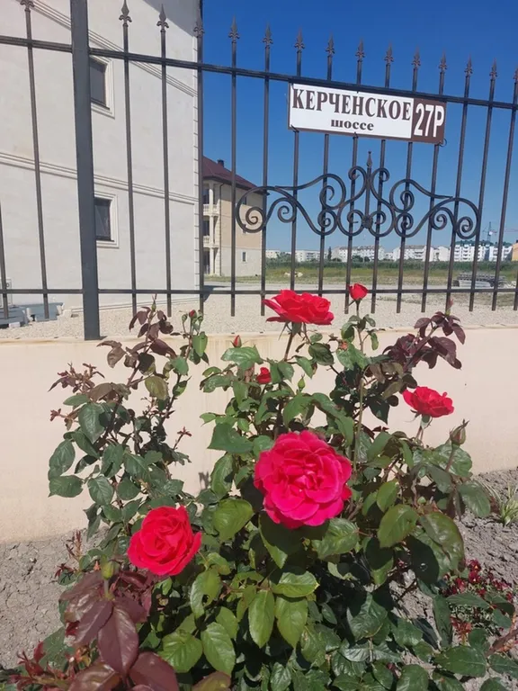 3к Апартаменты с видом на море