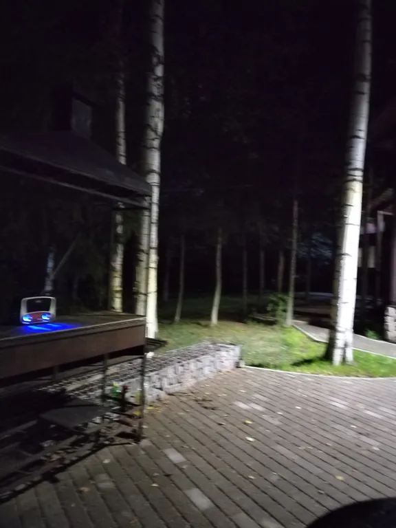 Коттедж Рябиновый домик с видом на лес и реку — Агалатово