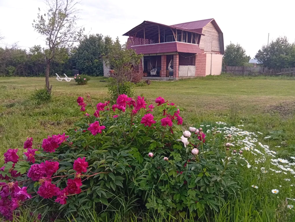 База Британия