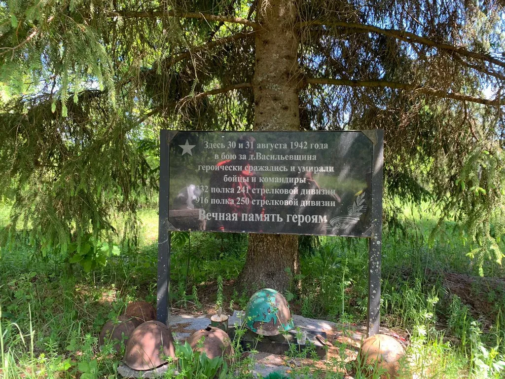 Апартаменты эконом на берегу озера Селигер