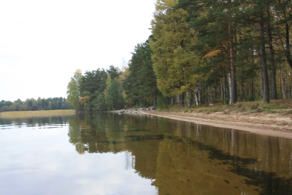 Коттедж Гостевые дома в усадьбе у Михалыча — Плодовое