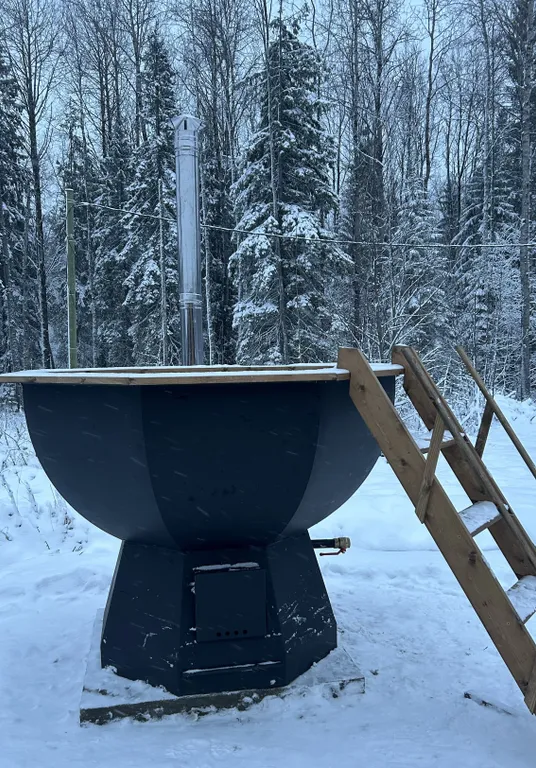 Дом-баня Вихта