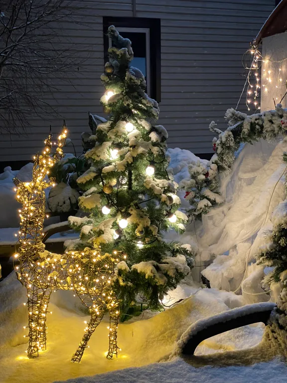 3-комнатный Дом