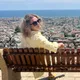 Анна Александровна