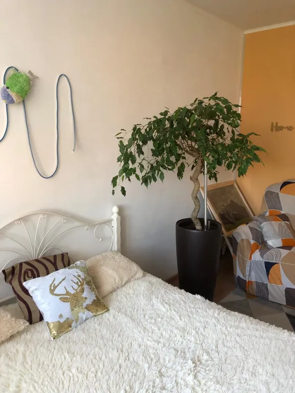 Квартира Альпен парк — аренда посуточно в Светлогорск