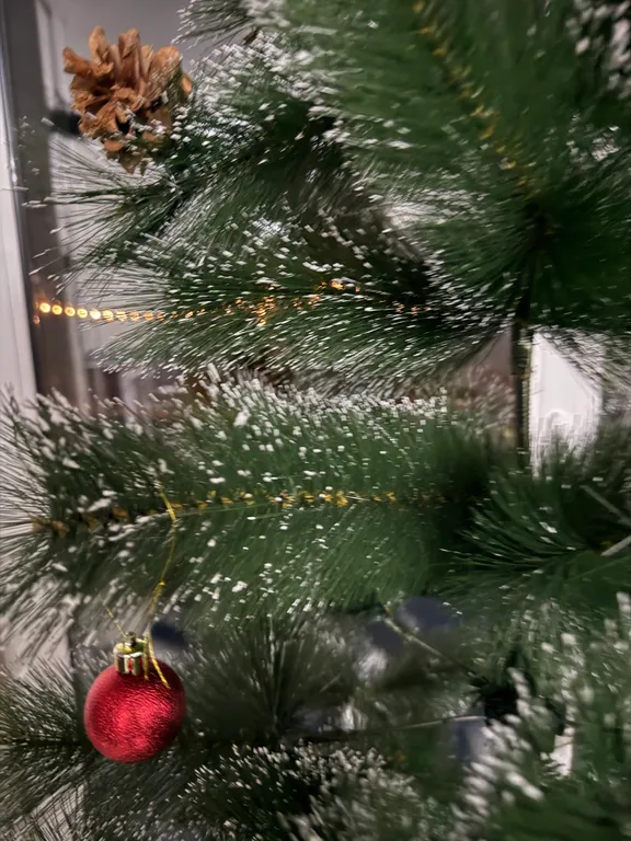 Просторный дом с видом на настоящий лес