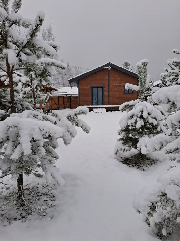 Коттедж 2-комнатный Дом — Разметелево