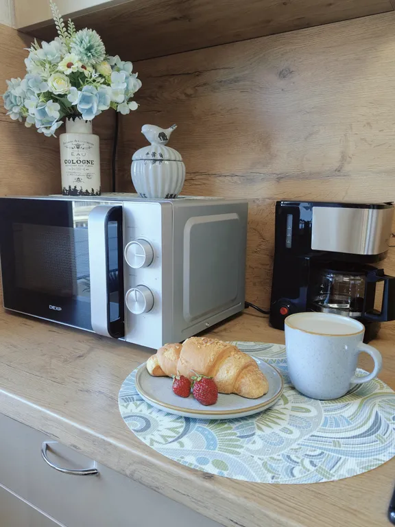 Квартира Уютная квартира с птичками в сердце Калининграда — Калининград