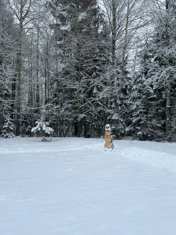 Современный дом в лесу