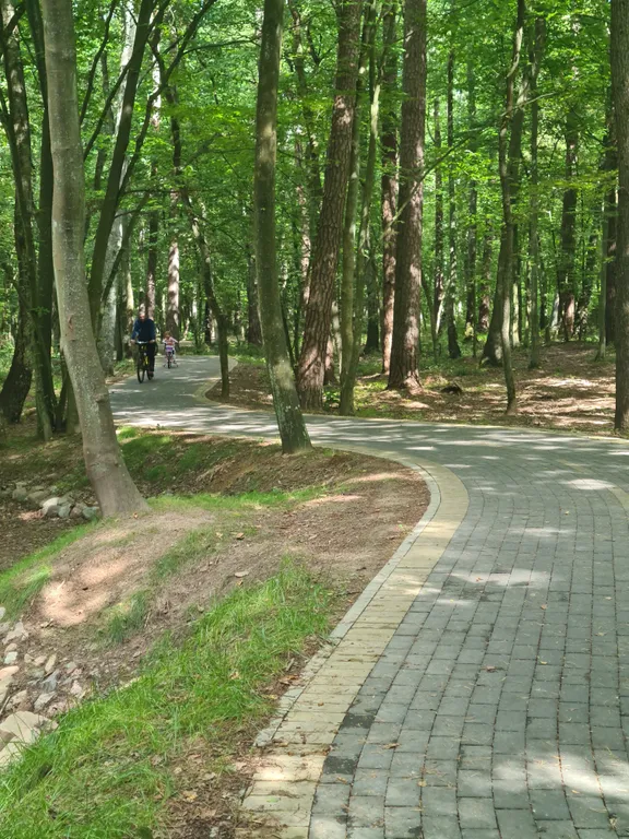 Коттедж Уютный гостевой дом — Лесное