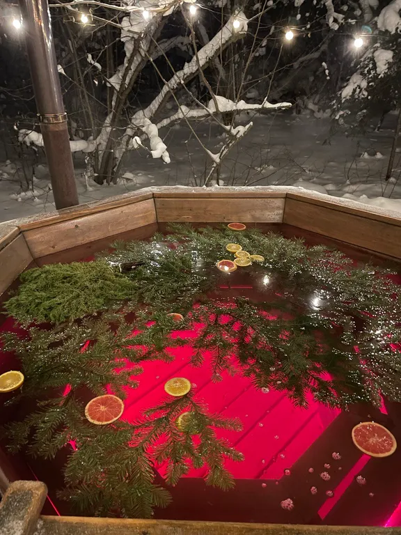 Уютный дом в тишине хвойного леса