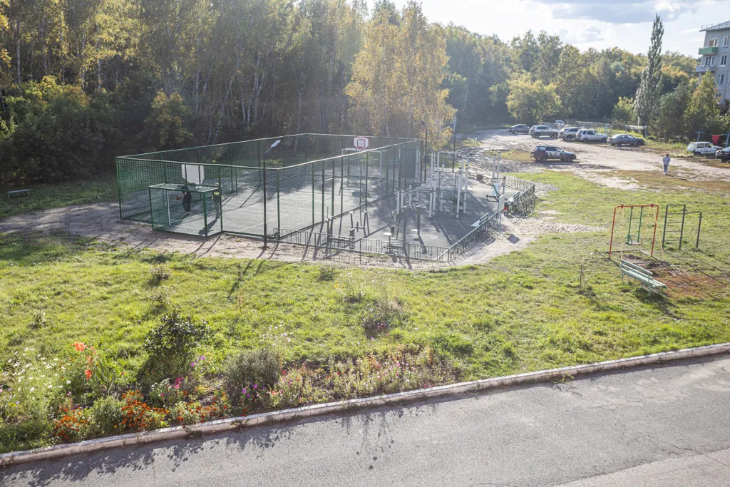 Апартаменты с видом на лес