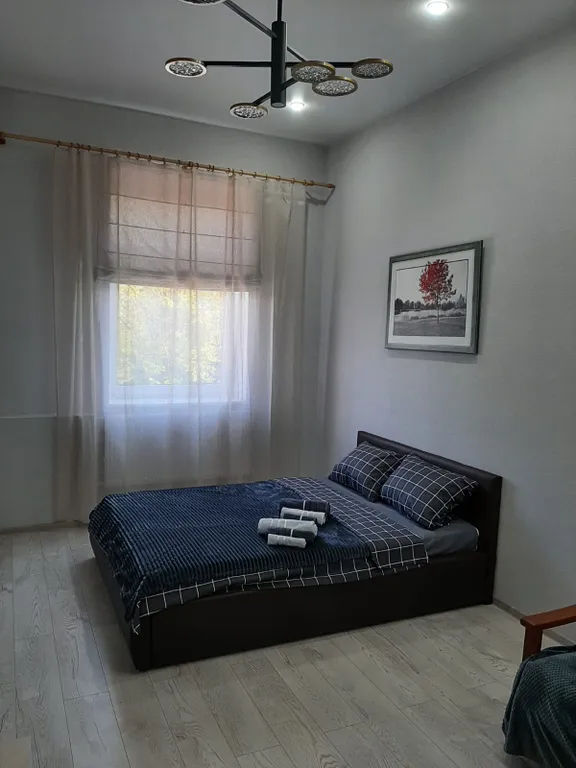 Квартира Просторная, светлая квартира — Калининград