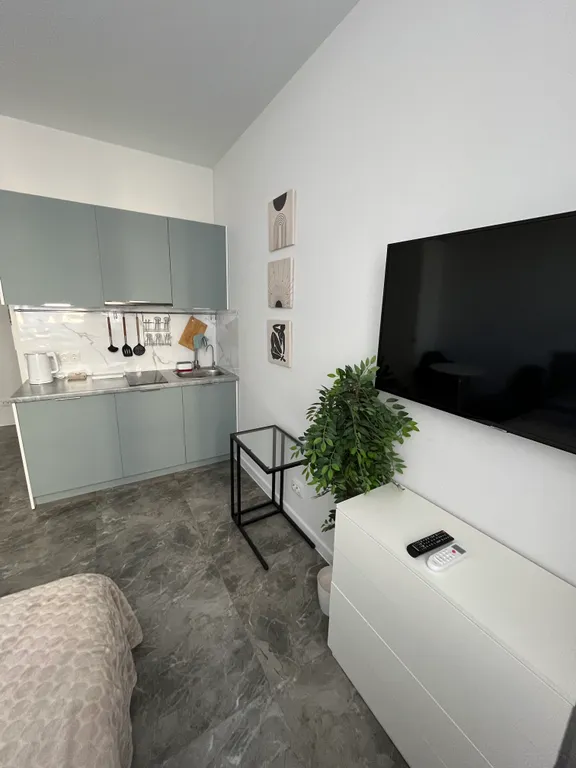 Уютная студия в центре города