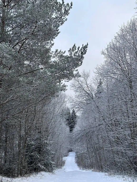 Домик в каньоне