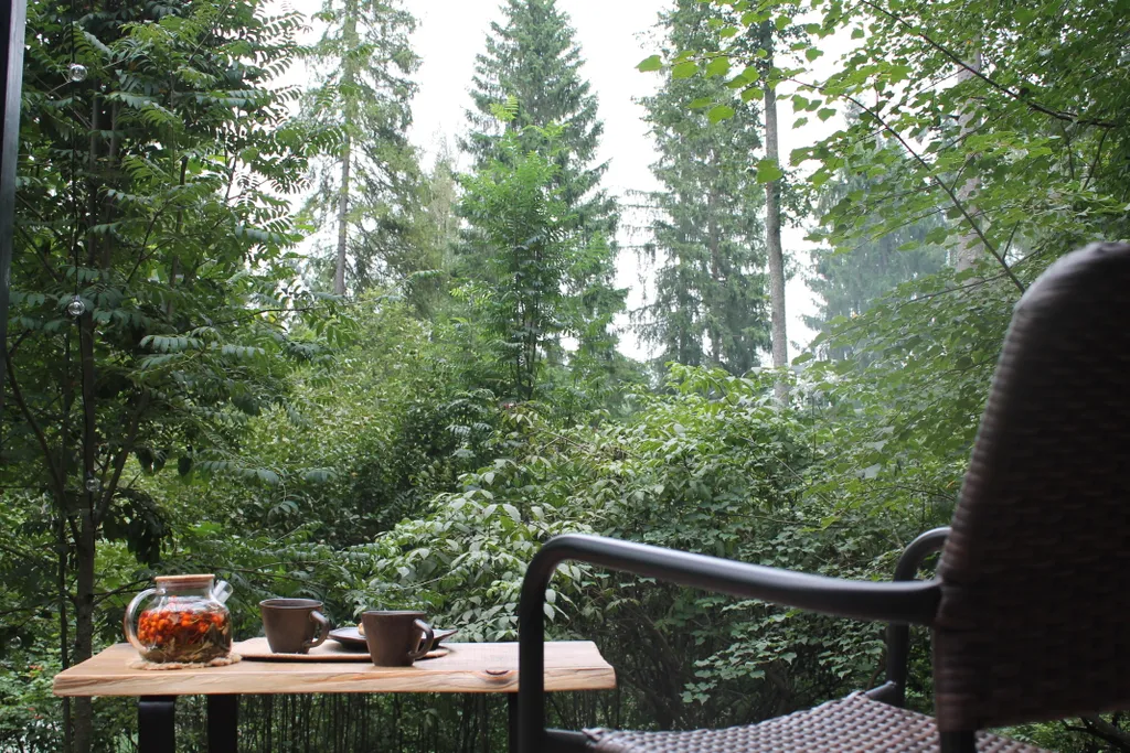 Дом с ванной у панорамных окон и высокой террасой в лесу