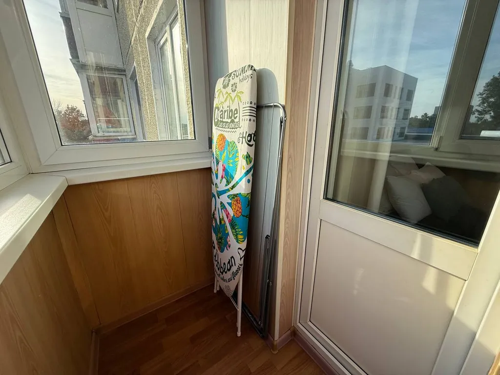 Однушка Пушкин в центре