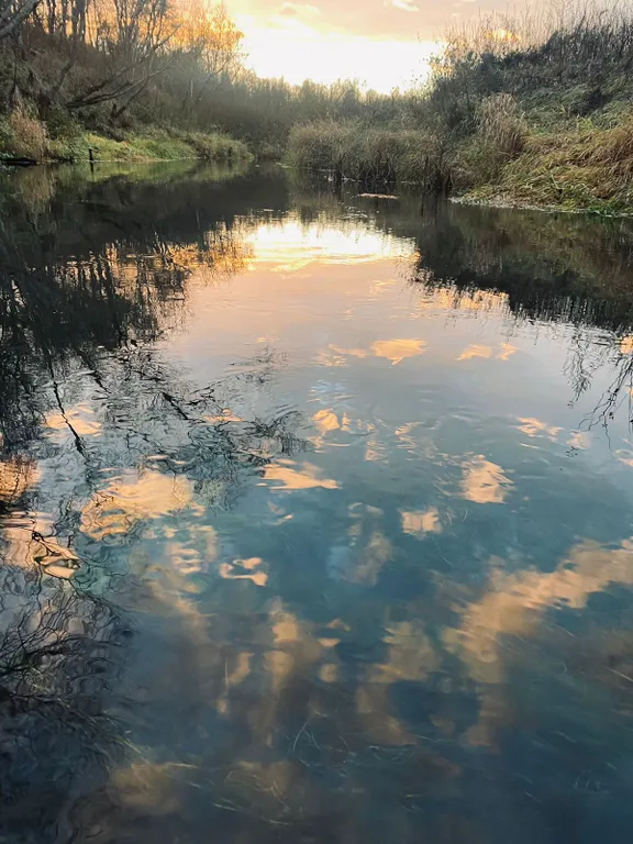 Новый загородный дом