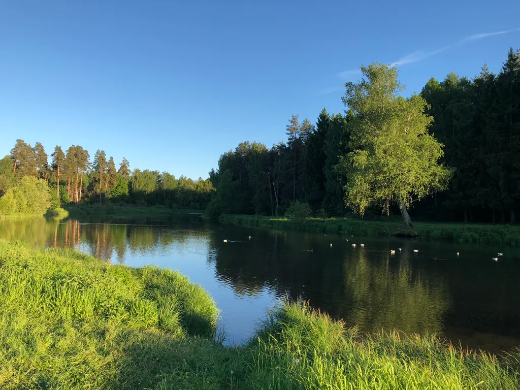 Аленький цветочек