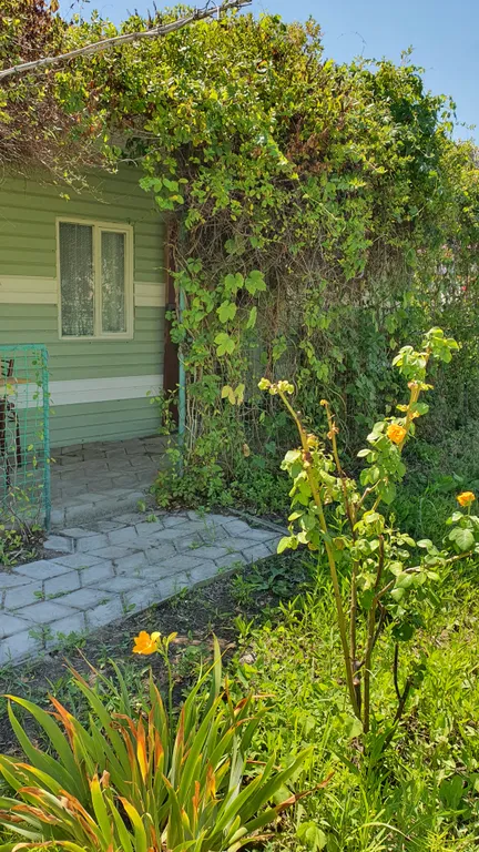 Коттедж Отдых на Азовском море в домике — аренда посуточно в Голубицкая