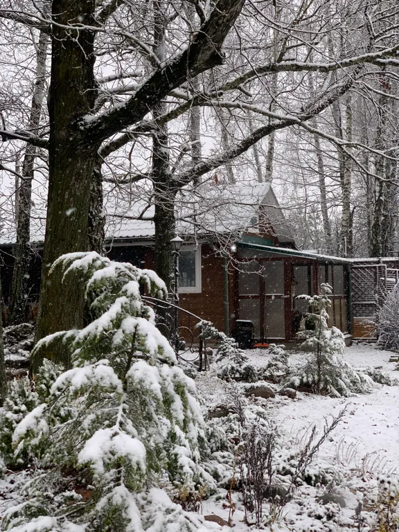 Дом у пруда