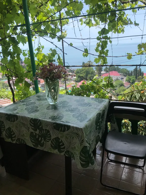 Квартира Уютная комната в центре города с видом на море — аренда посуточно в Гагра